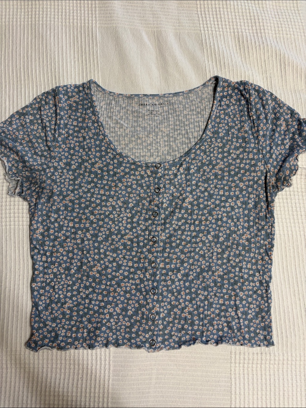 American Eagle Outfitters Blue Daisy Button-Front Crop Top